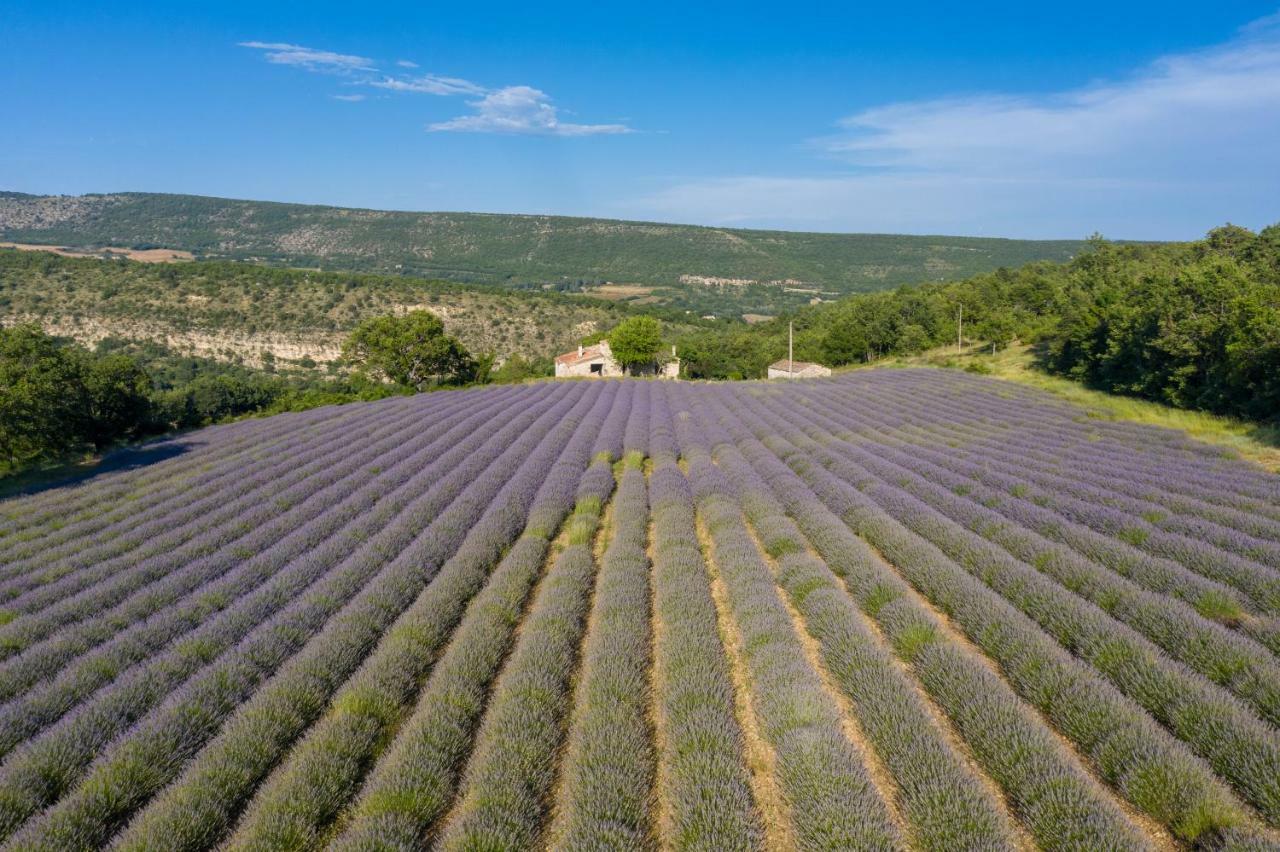 Hameau de Pichovet Pension Vachères Buitenkant foto